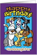 Goddaughter, Birthday Celebration Dogs, Lots of dogs card