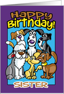 Sister, Birthday Celebration Dogs, Lots of dogs card