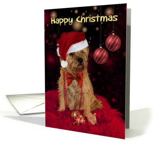Border Terrier Dog In A Santa Hat Happy Christmas card (1412760)