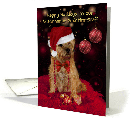 Veterinarian Border Terrier Dog In A Santa Hat Happy Christmas card