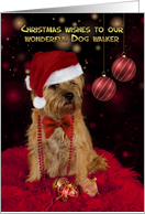 Dog Walker Border Terrier Dog In A Santa Hat Happy Christmas card
