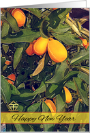 Chinese New Year Year Kumquat Trees card