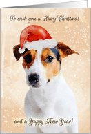 Jack Russell Dog In Santa Hat, Hairy Christmas Card