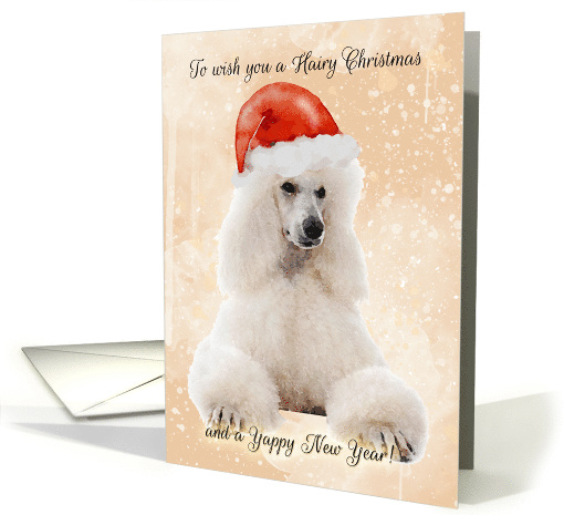 Poodle Dog In Santa Hat, Hairy Christmas card (1501540)