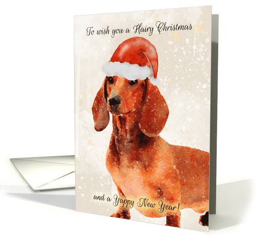 Dachshund Dog In Santa Hat, Hairy Christmas card (1501542)