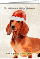 Dachshund Dog In Santa Hat, Hairy Christmas Card