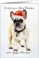 French Bulldog In Santa Hat, Hairy Christmas Card