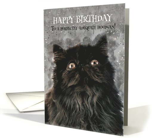 Cute Black Cat Birthday Greeting, Grunge Painted, Cat Humor card