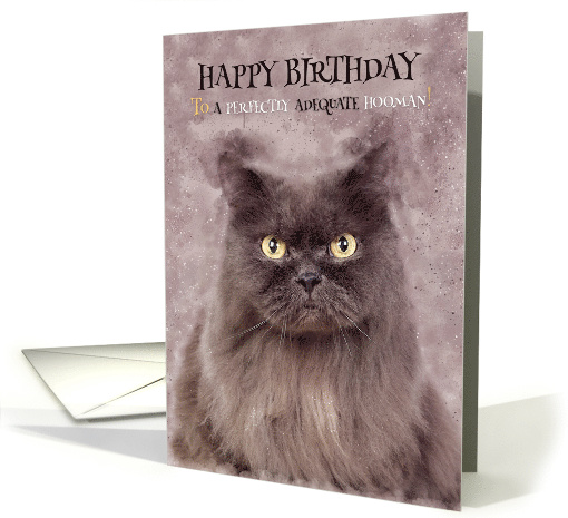 Cute Persian Cat Birthday Greeting, Grunge Painted, Cat Humor card