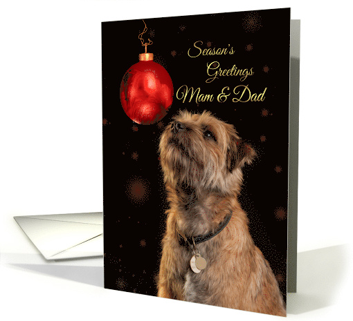Season's Greetings With Border Terrier Dog And Bauble card (1661590)