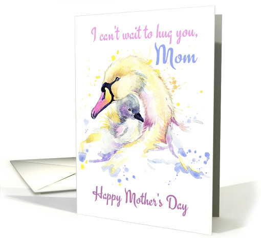 Swan And Signet For Mother's Day Mom card (1679358)