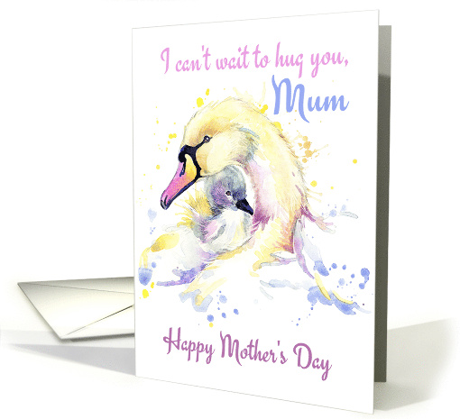 Swan And Signet For Mother's Day Mum card (1679360)