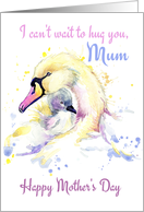 Swan And Signet For Mother’s Day Mum card