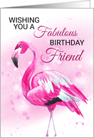 Friend Flamingo...