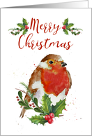 Robin Sat In Holly With Swash Text And Paint Splatters card