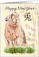 Chinese New Year Rabbit with Pencil Sketch Rabbit in Grass card