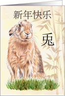 Chinese New Year Symbols Rabbit with Pencil Sketch Rabbit in Grass card