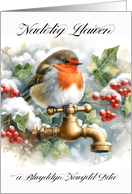 Robin Sitting on a Brass Tap Winter Berries and Snow Welsh Language card