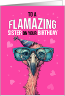 Sister Birthday with Flamingo Wearing Sunglasses and Party Hat card