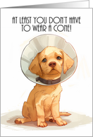 Get Well Soon Little Puppy wearing a Cone Fun card