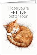 Get Well Play on Words Cat Sleeping Hope you’re Feline Better Soon card