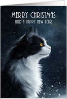 Merry Christmas and a Happy New Year with Black and White Cat card