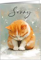Sorry with Ginger and White Cat Who Looks Full of Apologies Blank card