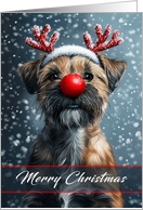 Border Terrier Christmas Wearing a Big Shiny Nose and Antlers card