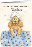 Relax Have a Wonderful Birthday with a Cocker Spaniel Having a Spa card