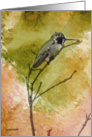 Hummingbird Watercolor Painting, Blank Note Card, Any Occasion card