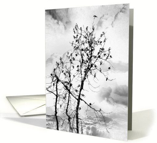 Family Gathering, General Blank Note Card Sparrows in Tree card