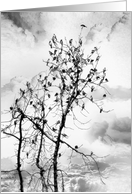 Family Gathering, General Blank Note Card Sparrows in Tree card