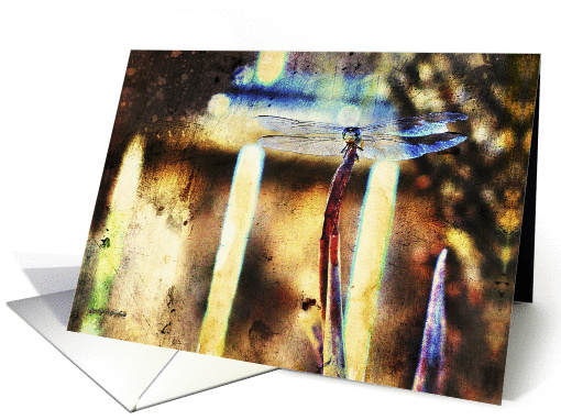 Abstract Painting of an Elegant Dragonfly at Rest, Any... (1415074)