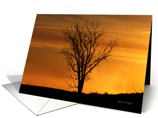 Country Sunset, Blank Note Card, Any Occasion card (1420140)