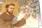 St Francis of Assisi with Birds Blank Note card