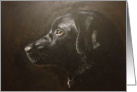 Black Labrador card