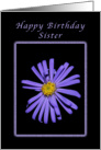 For a Stunning Sister on her Birthday, Purple Aster card
