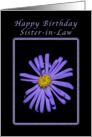 For a Sister-in-Law on Her Birthday, Purple Aster card