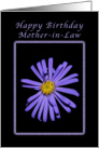 For a Mother-in-Law on Her Birthday, Purple Aster card