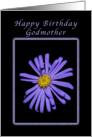For a Godmother on Her Birthday, Purple Aster card