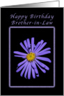 For a Brother-in-Law on his Birthday, Purple Aster card