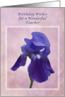 Birthday Wishes for a Teacher, Purple Iris on Pink card