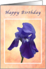 Happy Birthday General, Purple Iris card