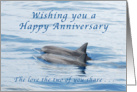 Happy Anniversary, Dolphins card