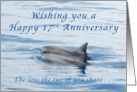 Happy 17th Anniversary, Dolphins card