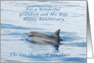 Happy Anniversary, Grandson and His Wife, Dolphins card