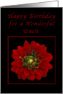 Happy Birthday for an Uncle, Red Dahlia card
