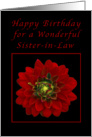Happy Birthday for a Sister-in-Law, Red Dahlia card