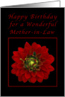Happy Birthday for a Mother-in-Law, Red Dahlia card