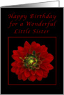 Happy Birthday for a Little Sister, Red Dahlia card